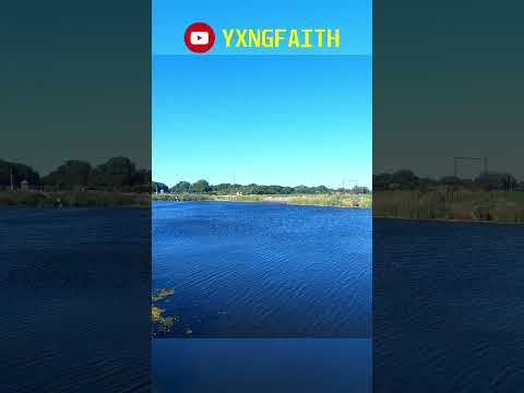 Views of Brandon Island #nature #reels #shorts #viral #water #shorts #view #asmr #sound #windy