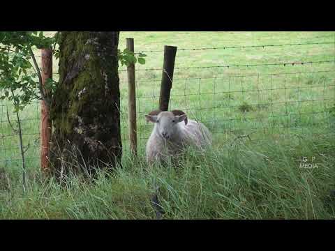 4K Amazing Nature of Ireland  |  Relaxing  Video |