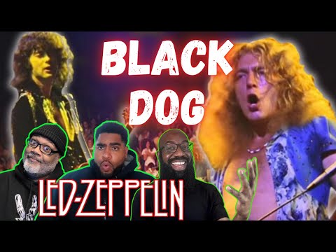 Led Zeppelin - 'Black Dog' Reaction! Page and Plant! Bonham and Jones! Magicians at Musicianship!