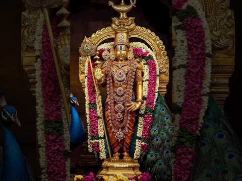 #MURUGAN#VELMURUGAN#KANDHAN#APPAN#GOD#BAKTHI#DEVOTIONAL#VIRALVIDEO#TRENDINGSHORTS#SAAMISONGS