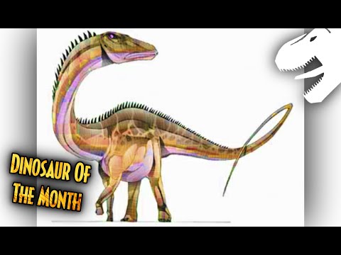 The Convoluted History of Tornieria | Dinosaur Of The Month