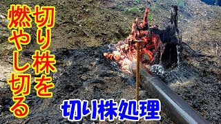 燃やす！キャンプ場開拓　厄介な切り株の処理　切り株燃やしてみた後編