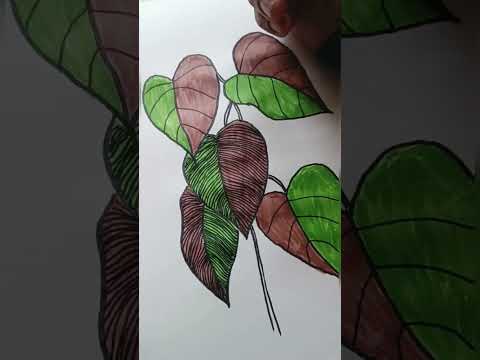 easy leaf drawing#easyart #illusionart#youtubeshorts