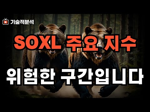 SOXL TQQQ 엔비디아 등 주요 지수 위험 구간인 이유