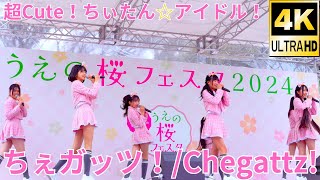 【4K/60p】ちぇガッツ！（Japanese idol group Chegattz）『うえの桜フェスタ2024』上野恩賜公園 噴水広場 2024年3月24日（日）