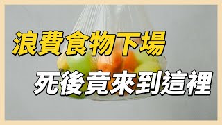 浪費食物下場　死後竟來到這裡