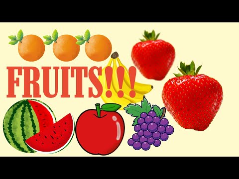 Fruits Adventure! Learn About Fruits!