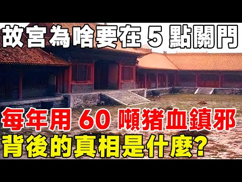 故宮為啥要在5點關門，每年用60噸猪血鎮邪，背後的真相是什麼？#科普 #科普頻道