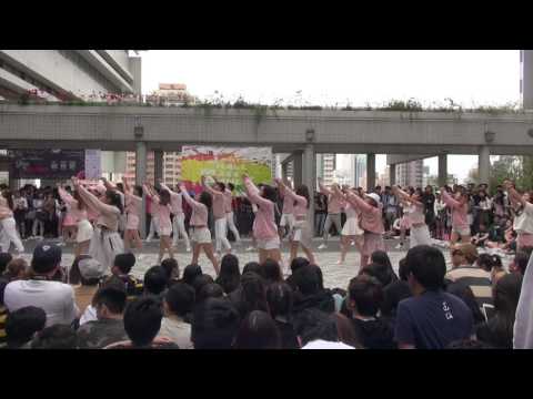 Joint Hall Mass Dance 2017 - Lee Hysan Hall