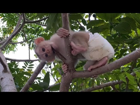 Cute little baby boy to playing outside look is very so cute