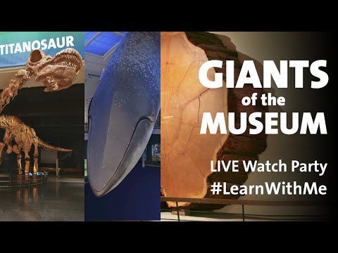 Giants of the American Museum of Natural History Tour