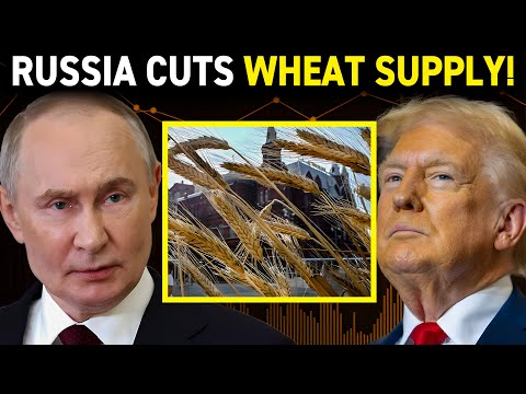 Russia Responds to US Sanctions by Limiting Grain Exports to Asia: A Calculated Retaliation?