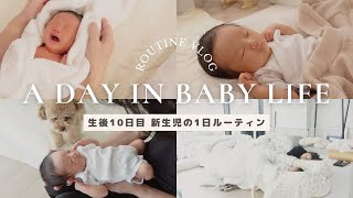 【新生児】1日ルーティン24時間密着👶✨と産後ママのリアル😂💦