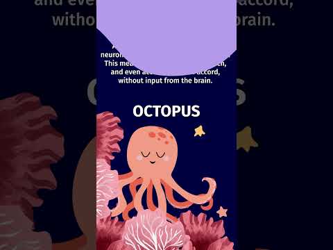 Octopus pose and fun facts #yogaforkids #yogaguppy #kidsyoga #underthesea