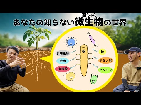 科学的に菌ちゃんを診る【科学的に楽しく有機栽培①】