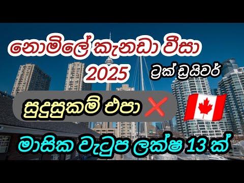 නොමිලේ කැනඩා වීසා 2025. මාසික වැටුප ලක්ෂ 13 ක්. අවු.18-60 truck driver foreign job vacancies Canada