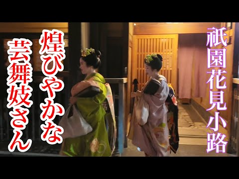 京都祇園 花見小路を往く煌びやかな芸舞妓さん Geisha and Maiko of Gion 【4K】