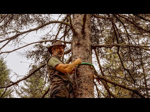 How I Lift Logs on to the Cabin, Growing Potatoes in the Forest, Division of Labour