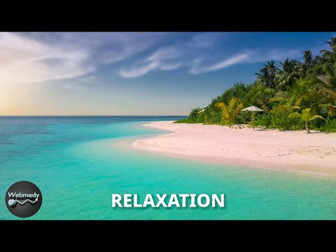 Relax and Unwind | Relaxation music for Stress Relief and Healing 4K