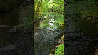 Soothing River Sounds - Peaceful Water Sounds For Mind Relaxing