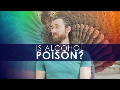 Is Alcohol Bad For You? {The Kloons}