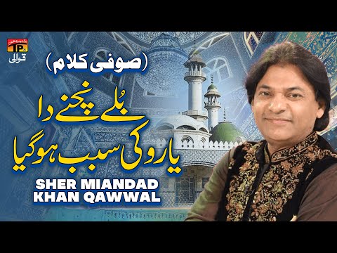 Bulle Nachne Da Yaro Ki Sabab Ho Gaya Sufi Kalam | Sher Miandad Khan Qawwal | TP Qawwali