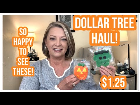 DOLLAR TREE HAUL | MADE ME HAPPY | $1.25 | WOW | YOU NEVER KNOW WHAT YOU’LL FIND😁 #haul #dollartree