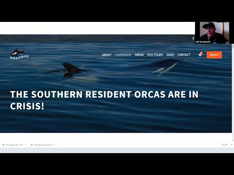 Jeff "The Whaleman" | Threats to Gray & Humpback Whales, So. Resident Orcas | Festival of Whales