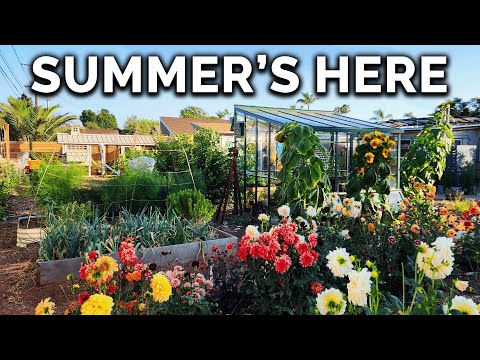 Summer Homestead Tour! It's Never Looked Better...