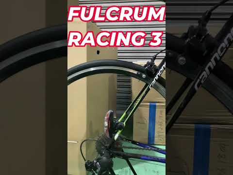 Fulcrum  Racing3のラチェット音 パート3 #Shorts