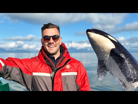 Mind Blowing Whale Watching in Vancouver