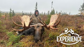 Alaska Moose dream hunt opportunity!  The Trijicon Experience!