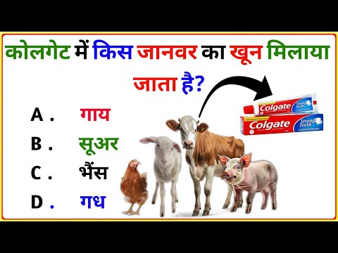 20 Majedar Paheliyan || GK Question And Answer || Gk for UPSC || Competitive Question In Hindi