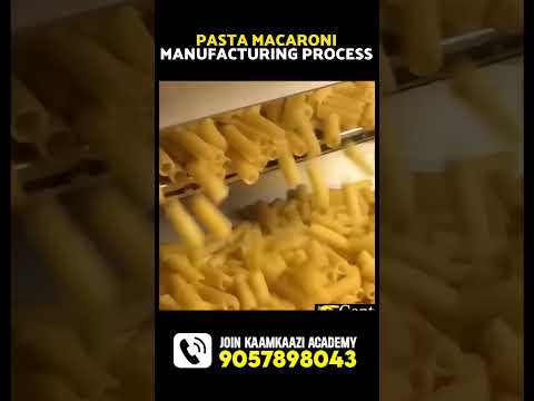 Pasta And Macroni का बिज़नेस शुरू करे ये मशीन लगाकर | #shorts #shortsindia #businessideas