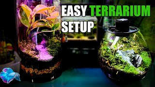 This Terrarium is Awesome! Bioloark Terrarium Unbox and Full Setup!