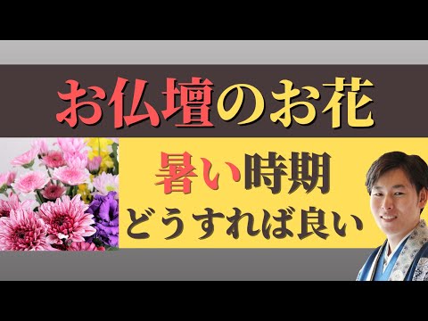 【仏事作法解説】お仏壇のお花。暑い時期はどうすれば良い？（浄土真宗本願寺派）