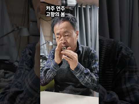 카주 연주-고향의 봄