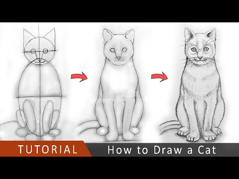 How to Draw a Cat | Step by Step Tutorial