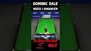 Dominic Dale Stunning Shot #snooker #shorts #shortvideo #snookermoments #snookertime #snookerworld