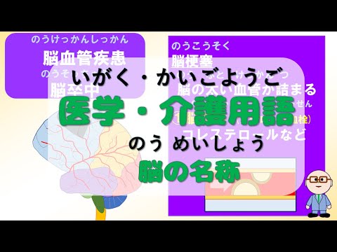 【g007】医学・介護用語　脳の名称