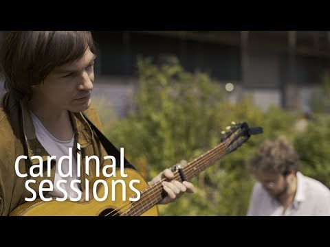 Moritz Krämer - Auffliegen - CARDINAL SESSIONS