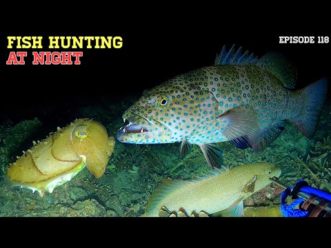 NIGHT SPEARFISHING EPISODE 118 | FISH HUNTING AT NIGHT Dolan laut