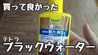 テトラ『ブラックウォーター』使ってみたら室内めだか飼育にメリットがでた?!【メダカ】