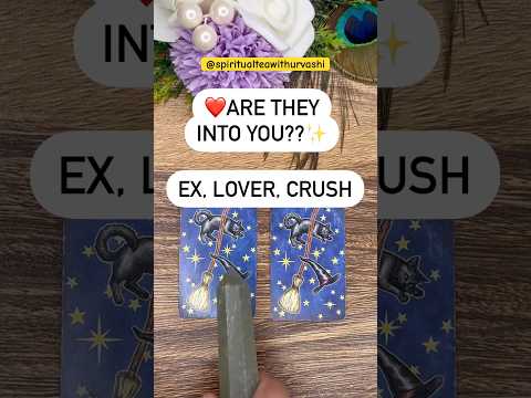 Are they into YOU??❤️✨ #spiritualteawithurvashi #tarotreading #ytshorts #shorts #trending