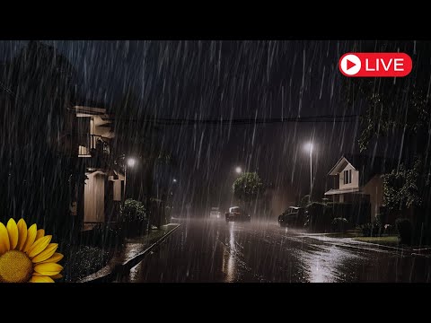 🔴BOA NOITE com o SOM da CHUVA 🌧 RELAXAR e DORMIR 🎧 MELHORE seu SONO 27.08.24