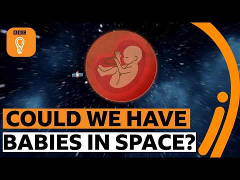 Can humans reproduce in space? | BBC Ideas