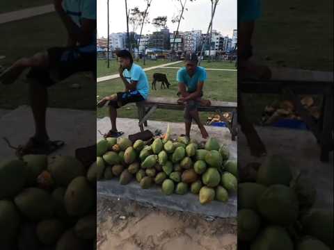 Coconut🥥 New Digha#digha #shorts #shortvideo