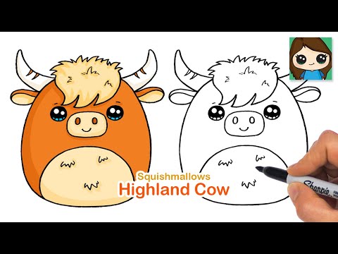 How to Draw a Highland Cow | Squishmallows