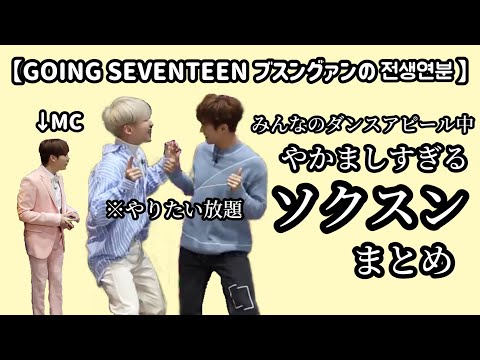 やかましい(褒め言葉)ソクスン【SEVENTEEN/セブチ/ホシ/ドギョム】