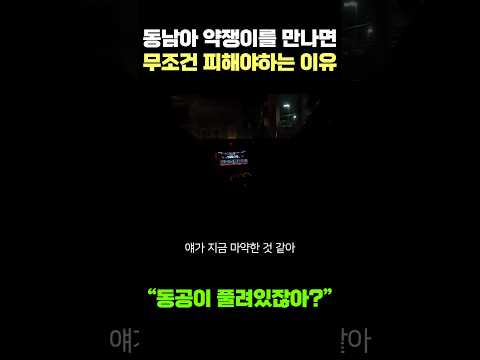 동남아 약쟁이를 만나면 무조건 피해야하는 이유